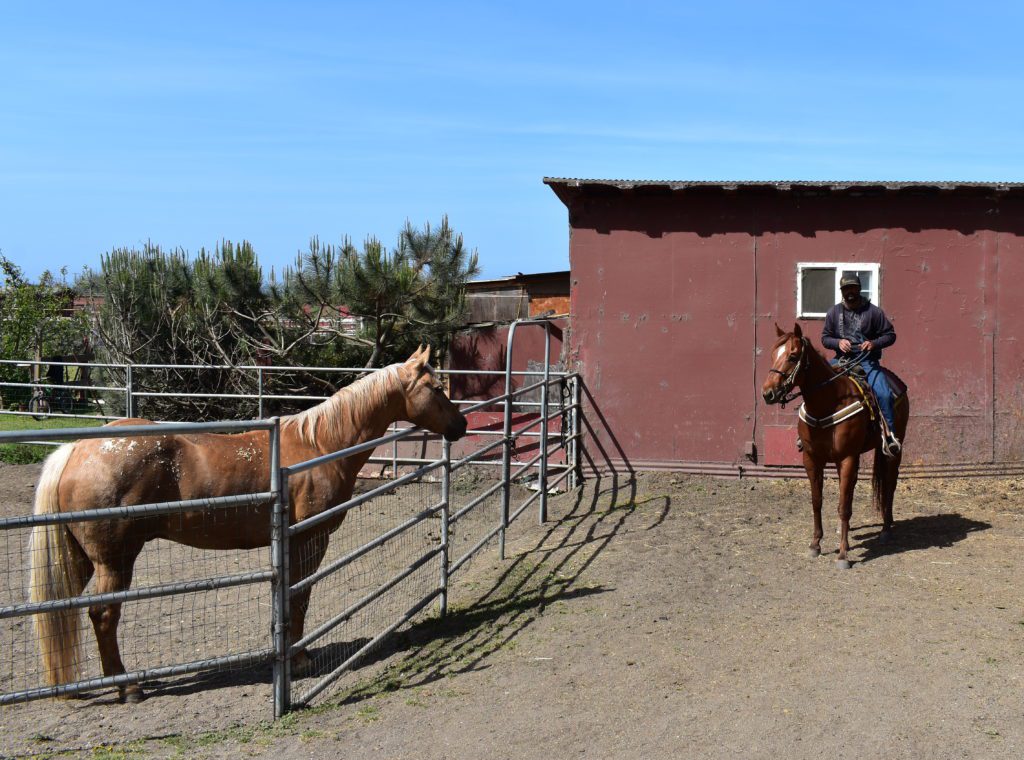 Sea Horse Ranch in Half Moon Bay offering horseback riding along the beach