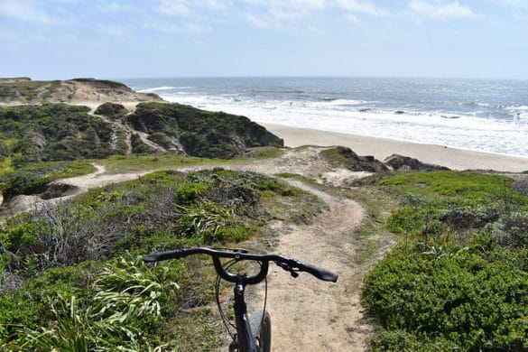 5 Reasons Why You Should Visit Half Moon Bay ASAP