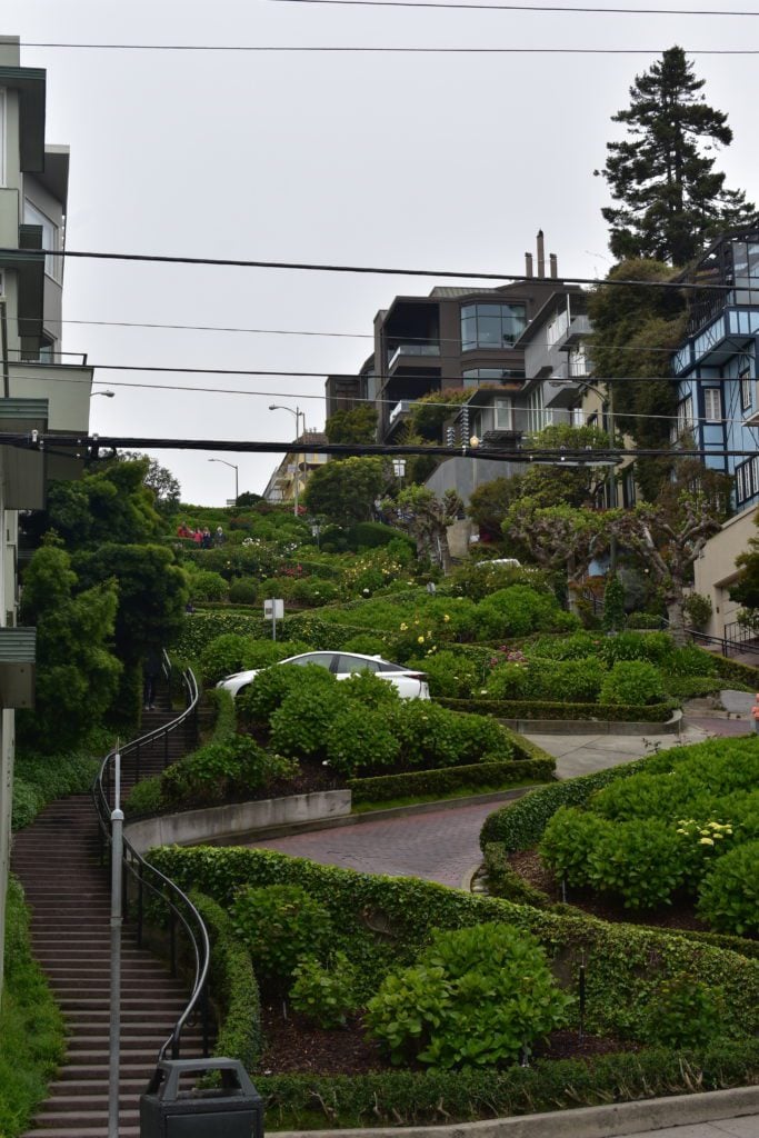 The world’s “crookedest” street, Lombard Street
