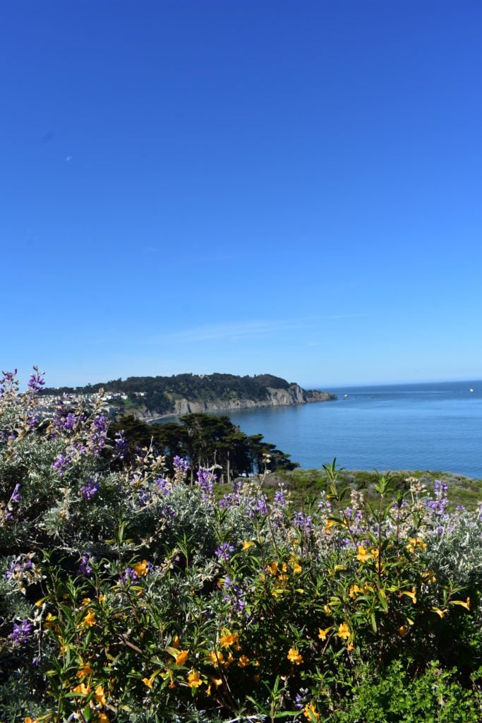 Nature around the Presidio