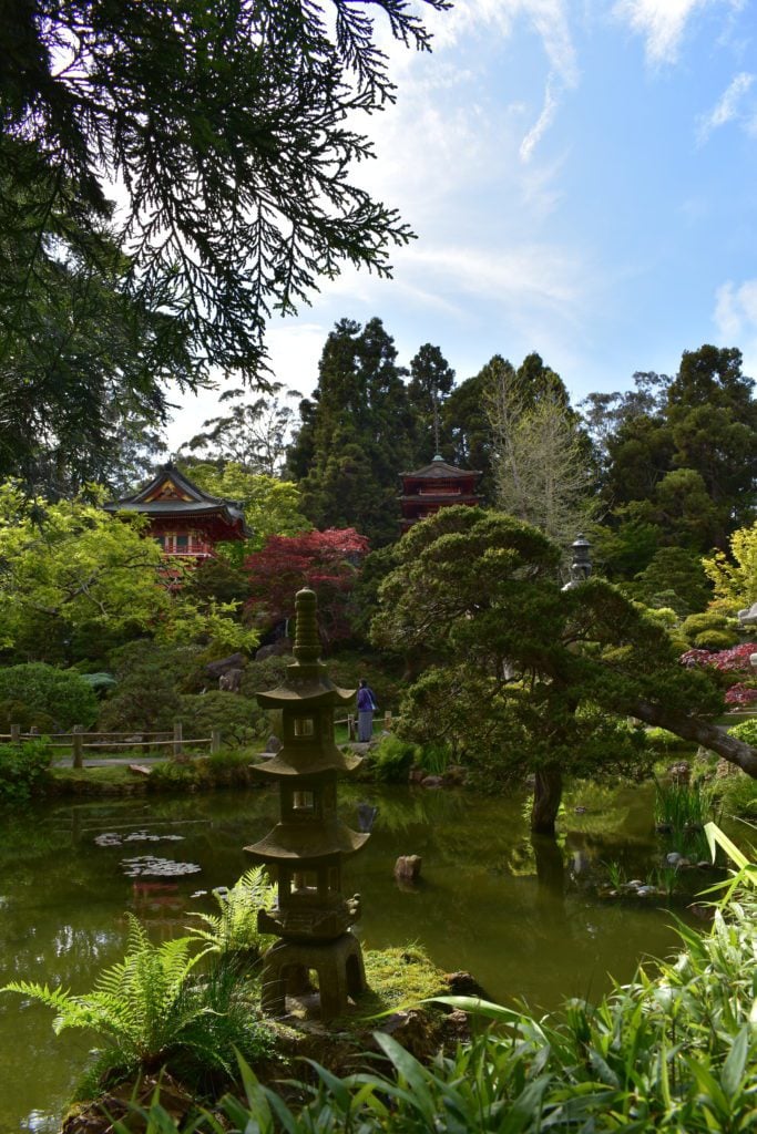 Japanese Tea Garden in Golden Gate Park
