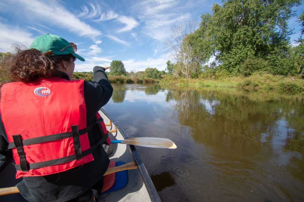 Berkshire Canoe Tours is among the best nature excursions in the Berkshires