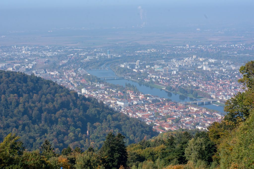 Königstuhl