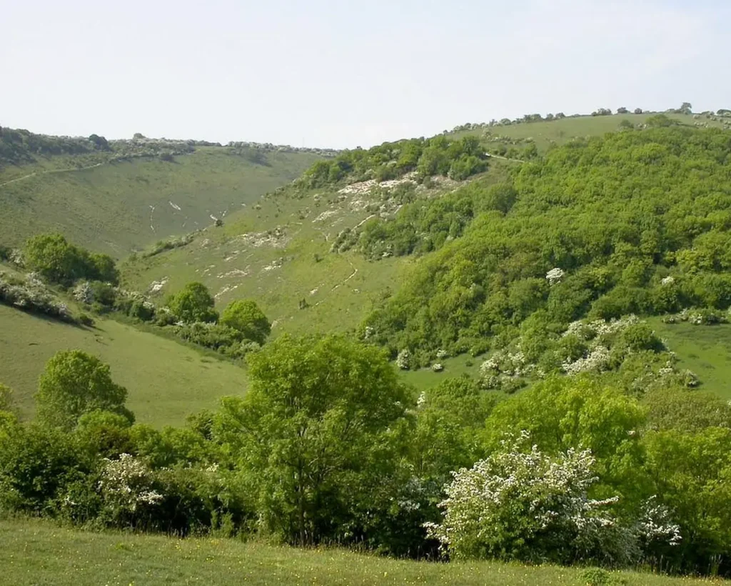 View from Newtimber Hill