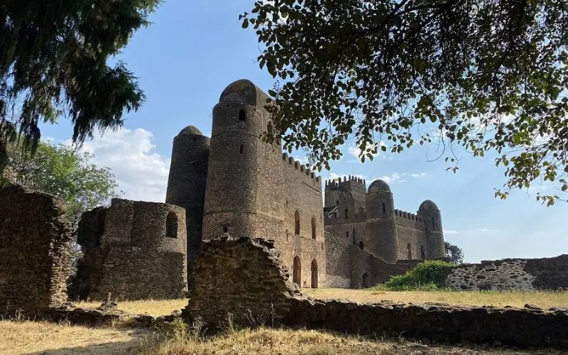 Fasil Ghebbi in Ethiopia with tall stone walls and towers surrounded by trees.