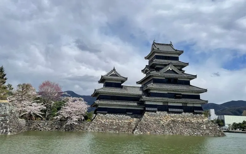 Matsumoto Castle in Japan with black wooden tiers surrounded by a moat and cherry blossoms.