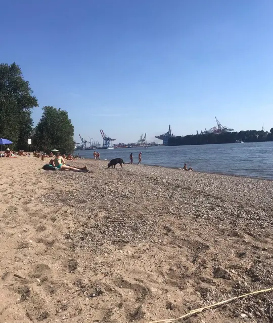 Hamburg beach