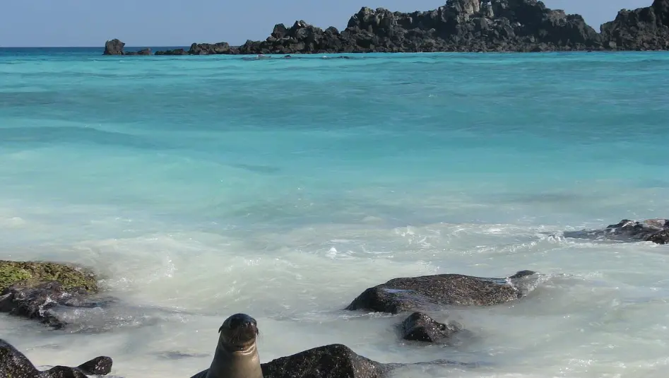 Galapagos Islands
