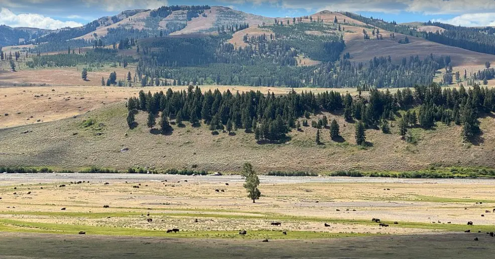 Yellowstone National Park