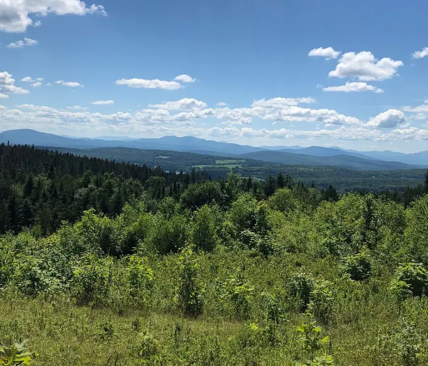 Barr Hill Natural Area