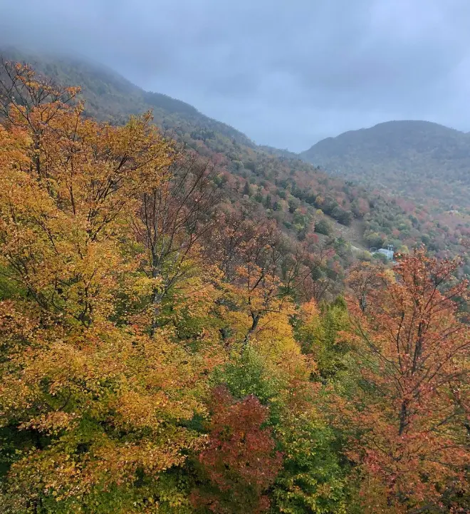 Mad River Glen