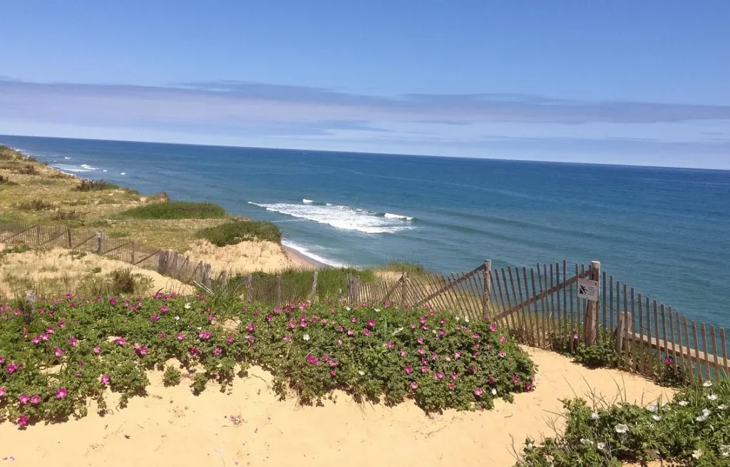Wellfleet