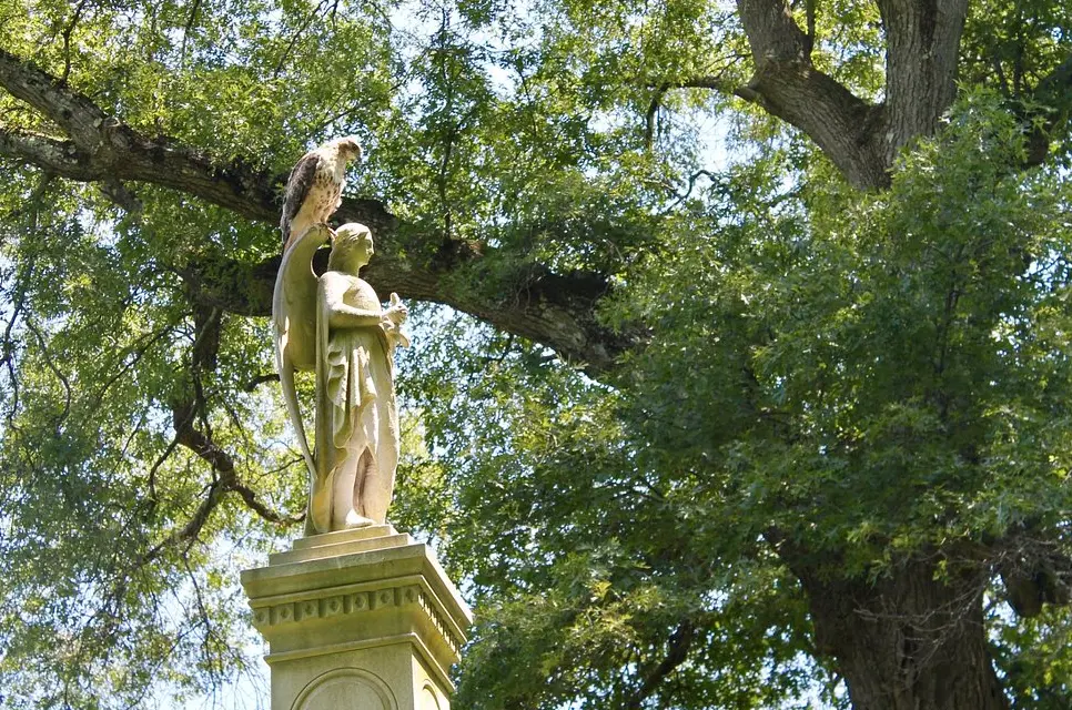 Mount Auburn Cemetery
