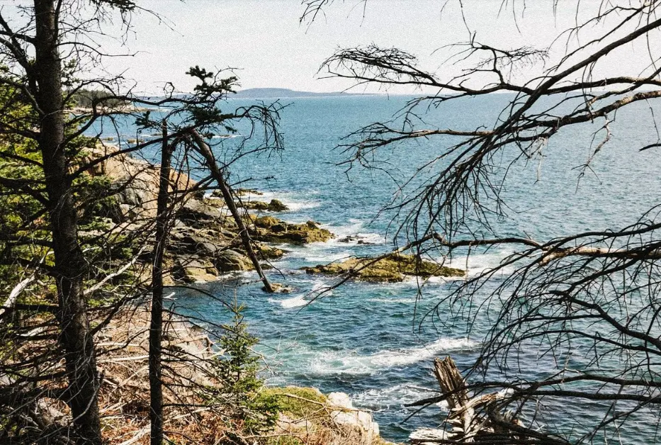 Ocean view in Acadia National Park