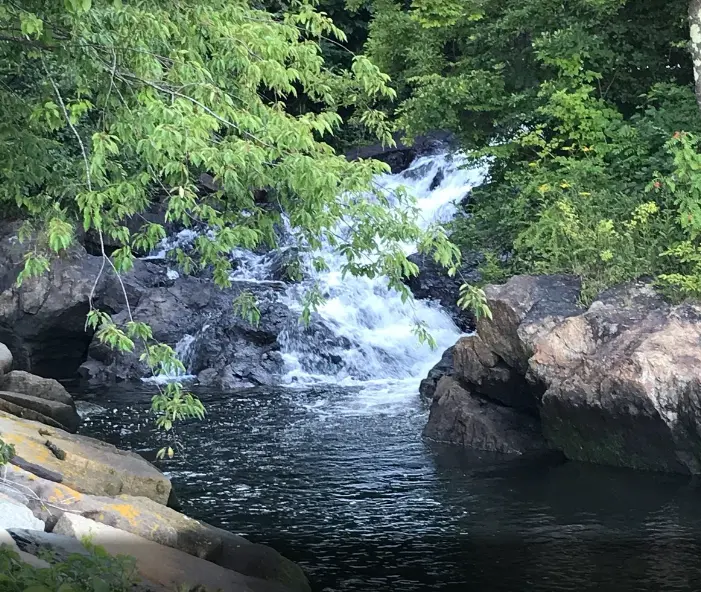 Nature trip at Camden