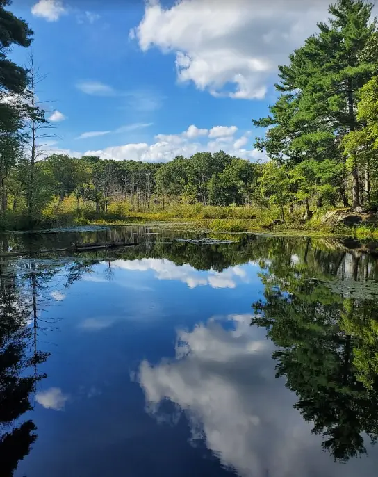 Mass Audubon Broadmoor Wildlife Sanctuary