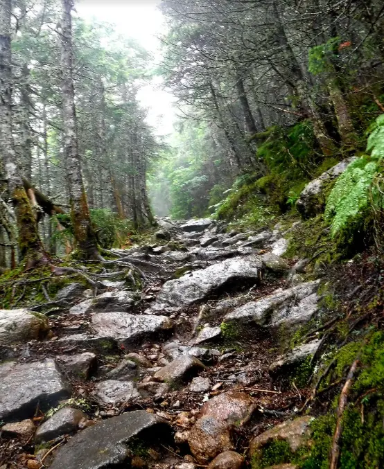 Mount Eisenhower