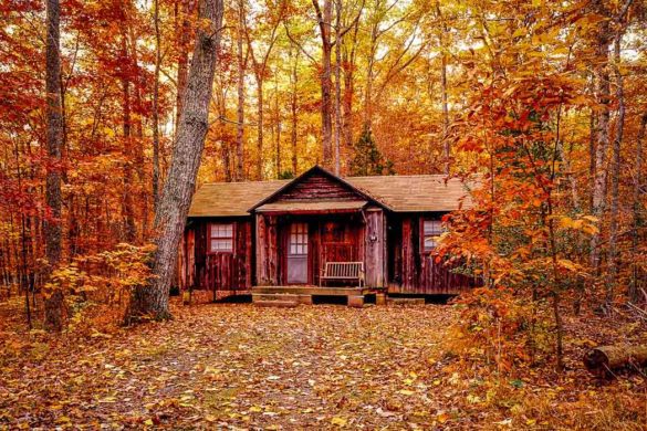 25 Best Airbnbs in the White Mountains (NH): Cabins + Treehouses