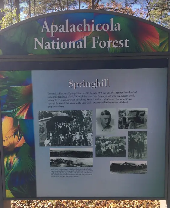 Apalachicola National Forest