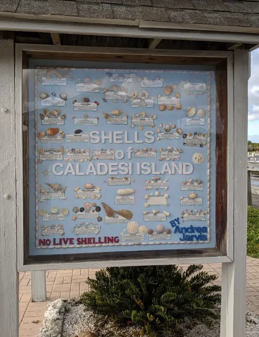 Caladesi Island State Park