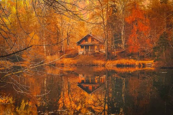 27 Unique Airbnbs in Vermont: Treehouses + Vacation Rentals