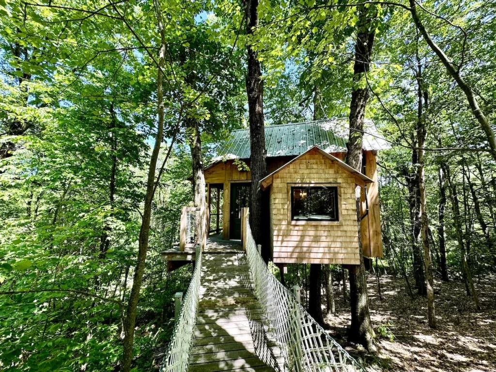 Wooden treehouse cabin with a rope suspension bridge walkway surrounded by green forest trees