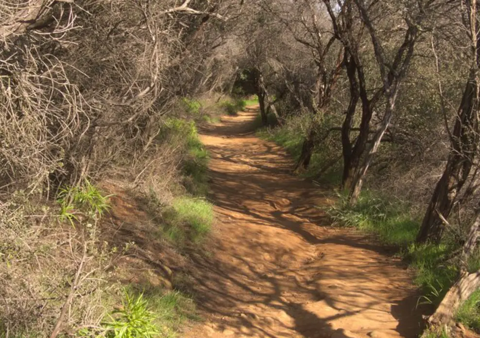 Hike in the Santa Monica Mountains