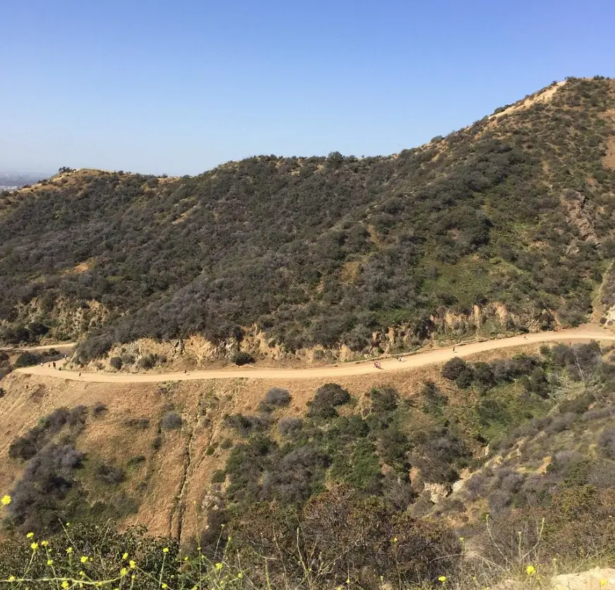 Runyon Canyon Park