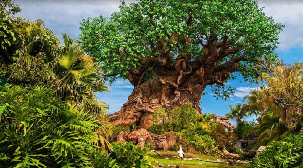 Tree of life at Disney