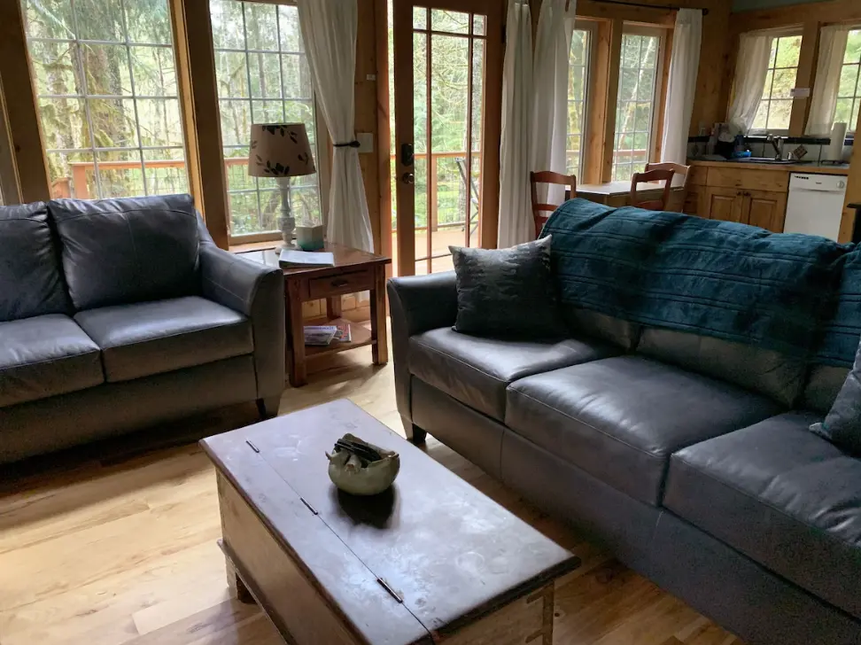 Muir Cabin Living Room