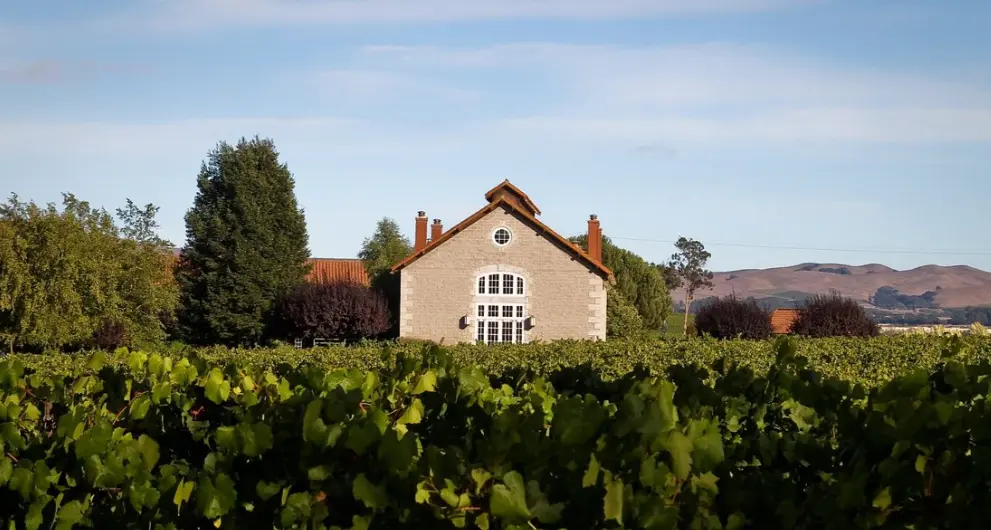 Etude winery and tasting