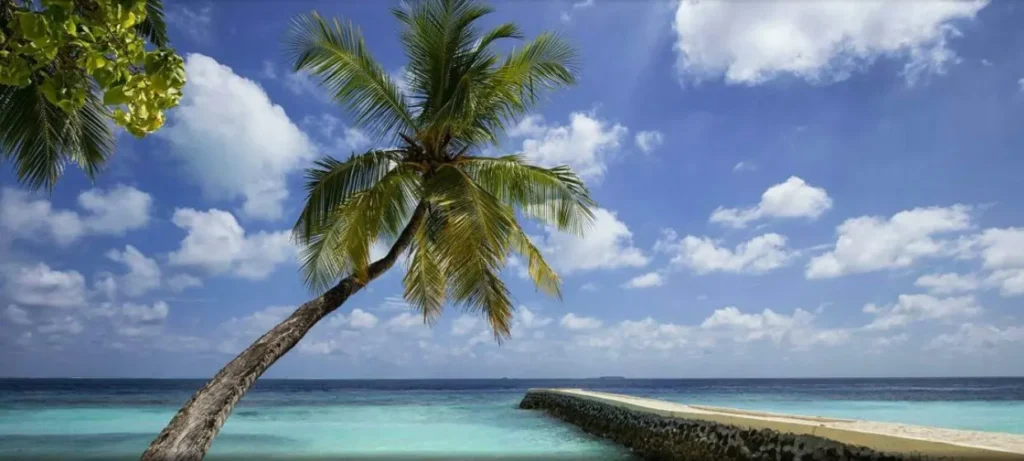 Maldives