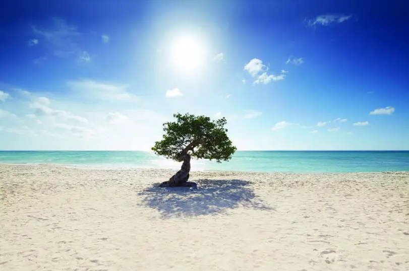 Aruba