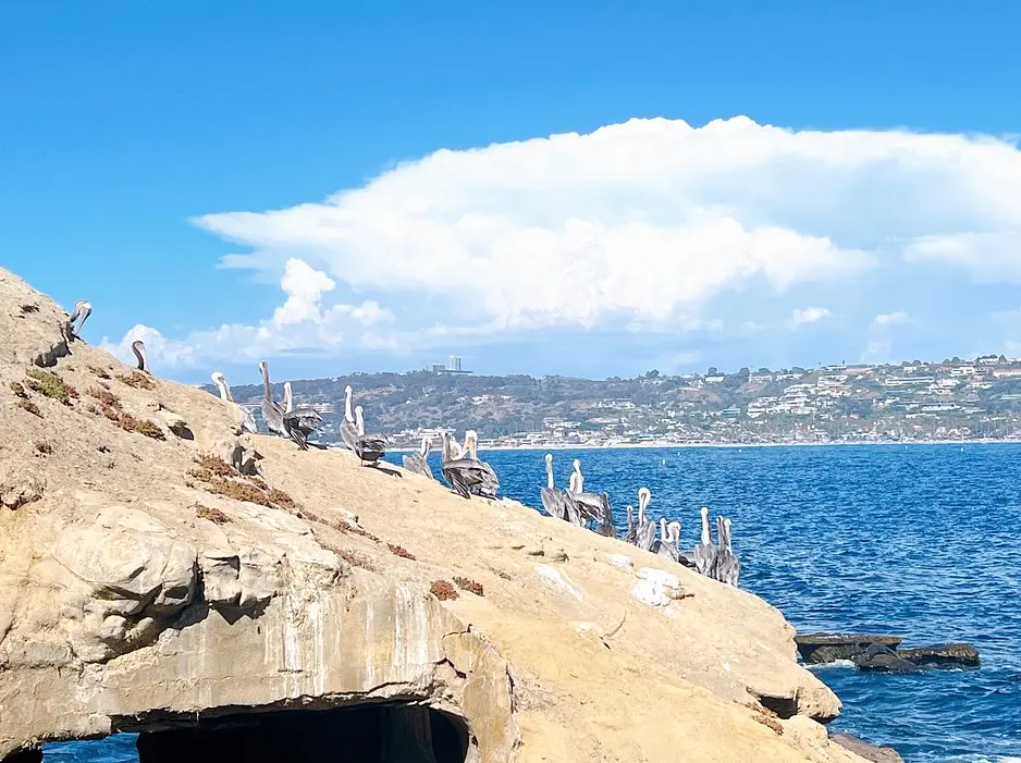 La Jolla Cove