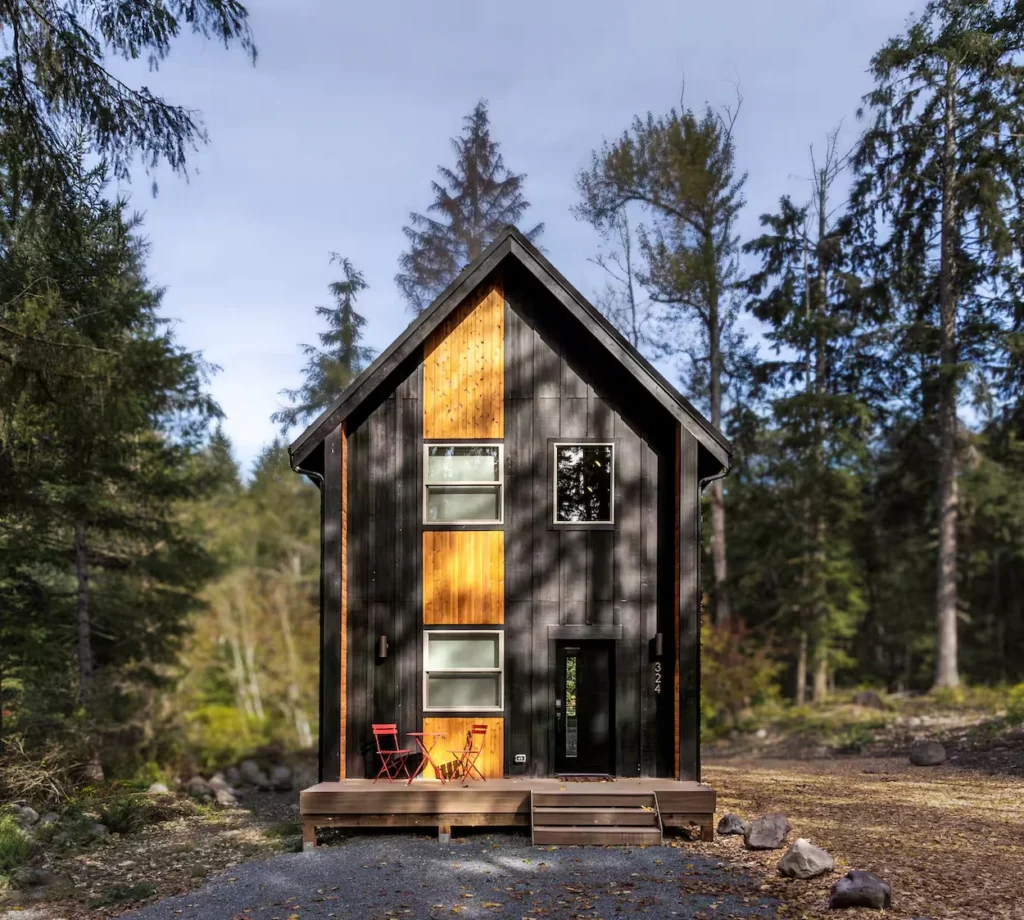 Modern narrow two-story cabin with black and light wood siding in a forest setting