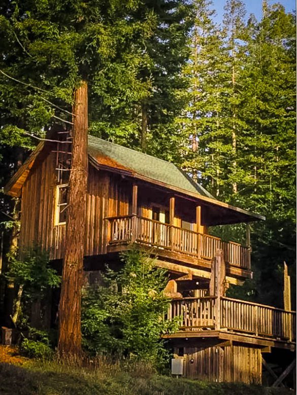 15 Airbnb Treehouses in California (With Availability!) Global Viewpoint