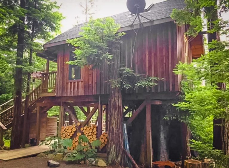 15 Airbnb Treehouses in California (With Availability!) Global Viewpoint