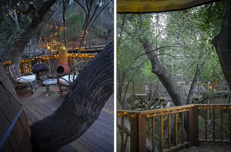 15 Airbnb Treehouses in California (With Availability!) Global Viewpoint