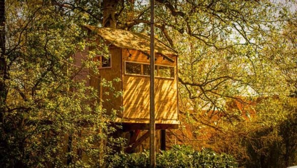 Best Airbnb Treehouses in California Featured Image