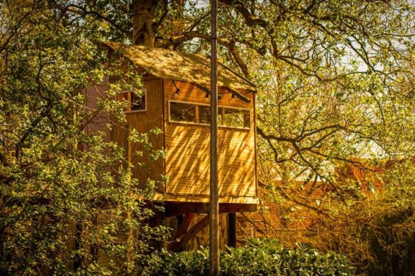 17 Airbnb Treehouses in California (With Availability!)