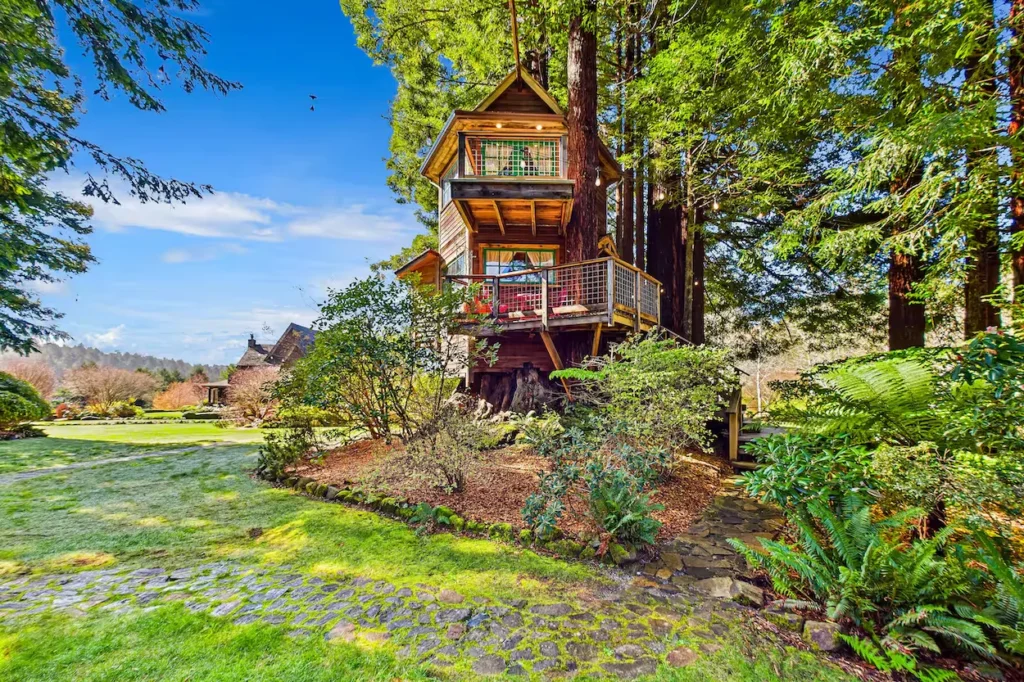 A tall wooden multi-level treehouse built high up around giant redwood trees next to a green lawn