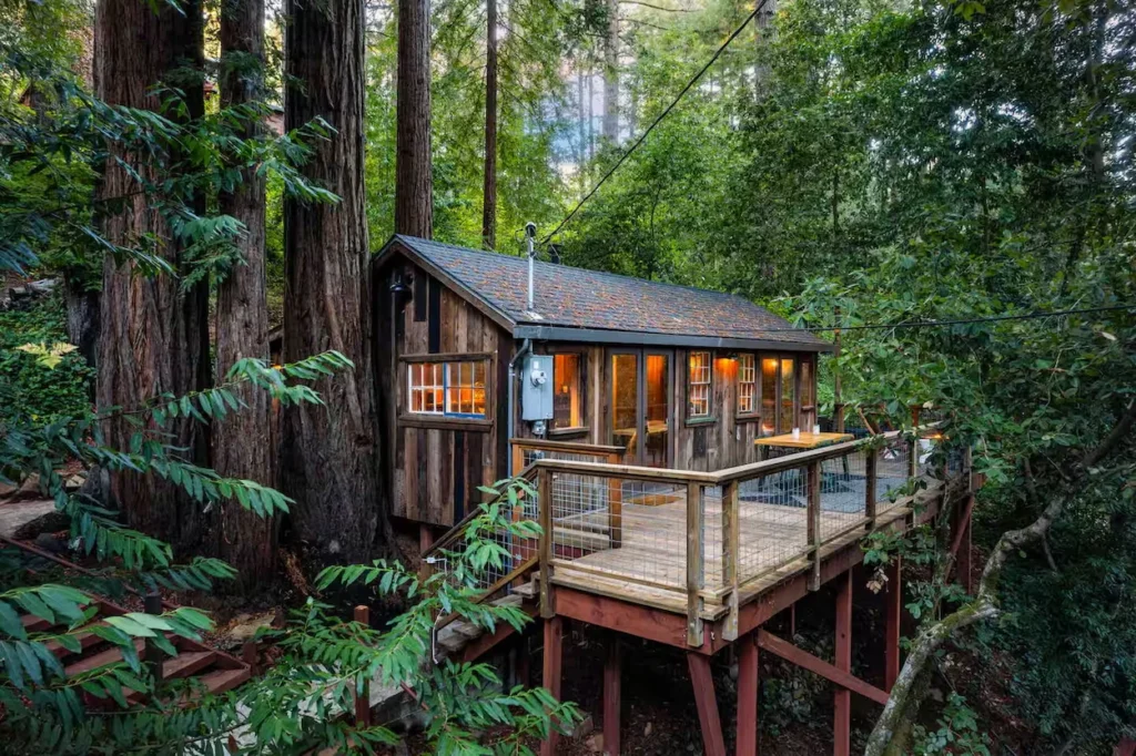 A small rustic wood treehouse with an elevated wooden deck built next to tall redwood trees