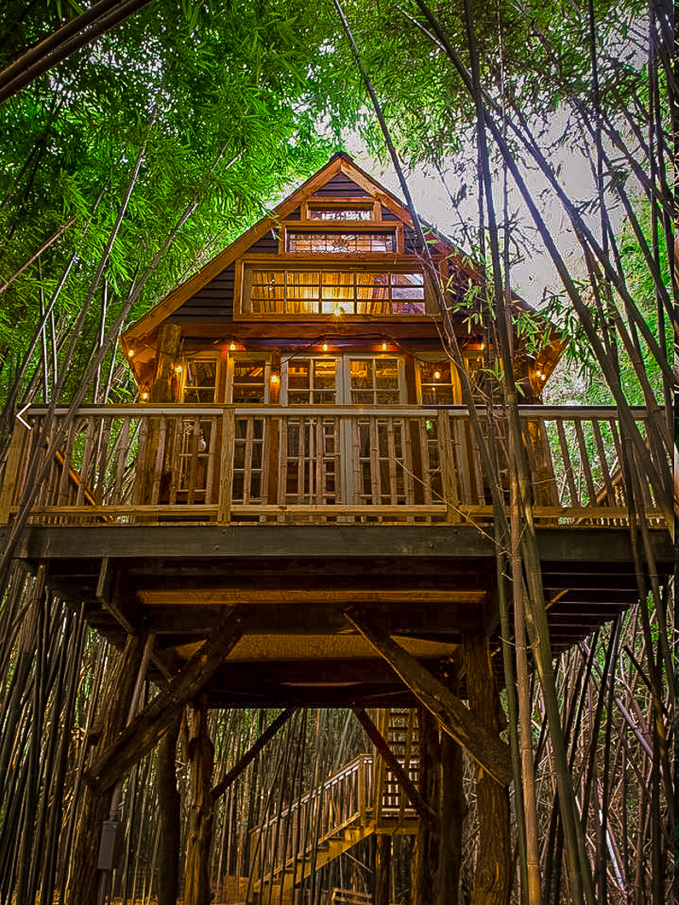 13 Coolest Treehouse Rentals in the US Global Viewpoint