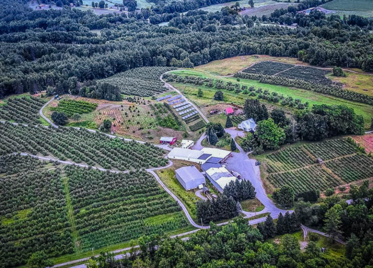 15 AMAZING Places to Go Apple Picking in Vermont (Farms + Orchards)