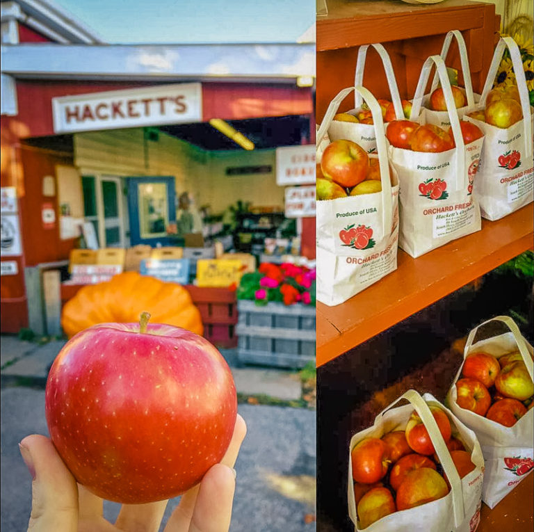 15 AMAZING Places to Go Apple Picking in Vermont (Farms + Orchards)