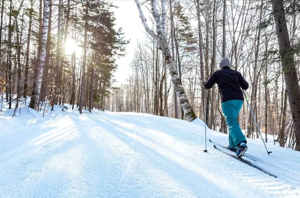 Cross country skiing at sunset
