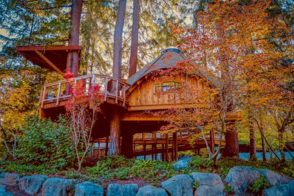 13 Cozy Cabin Rentals in Maine (With Availability)
