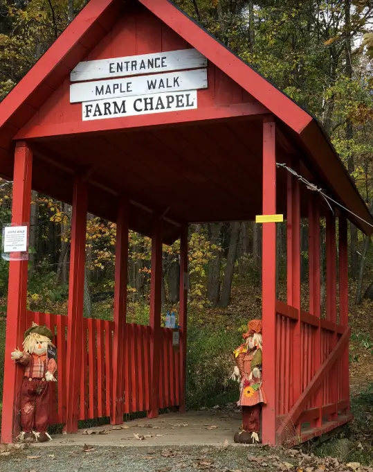 Entrance to two nature walks that show maple trees and sugaring lines