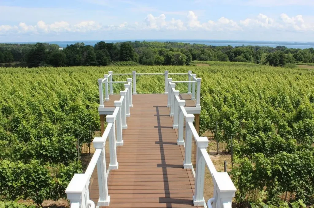 4 Wineries on Old Mission Peninsula