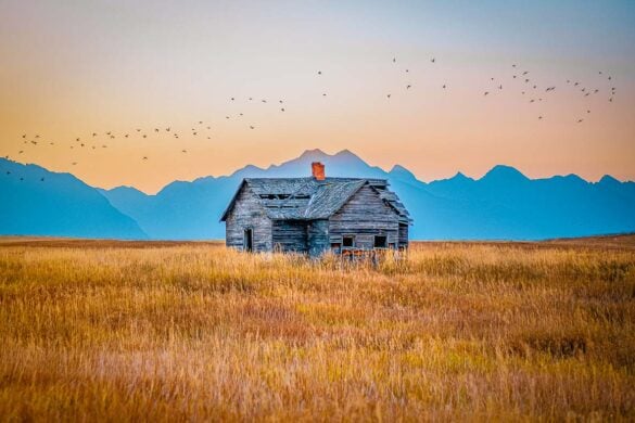 13 BEAUTIFUL Montana Cabin Rentals (With Availability)